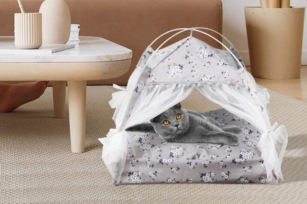 tenda per gatti