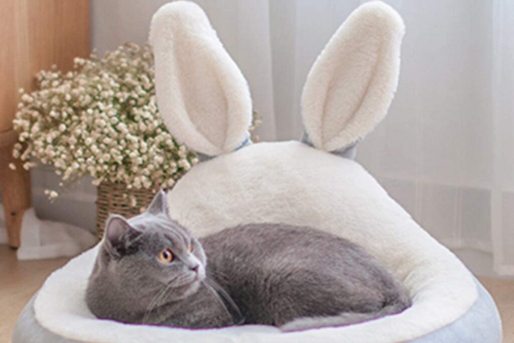 cuscino per gatti a forma di coniglio