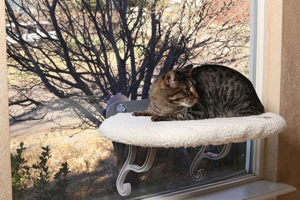 cuscino da finestra per gatti