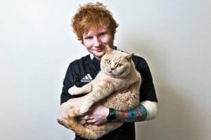 Dopo la morte del suo gatto, Ed Sheeran si innamora di nuovo di due gattini adottati