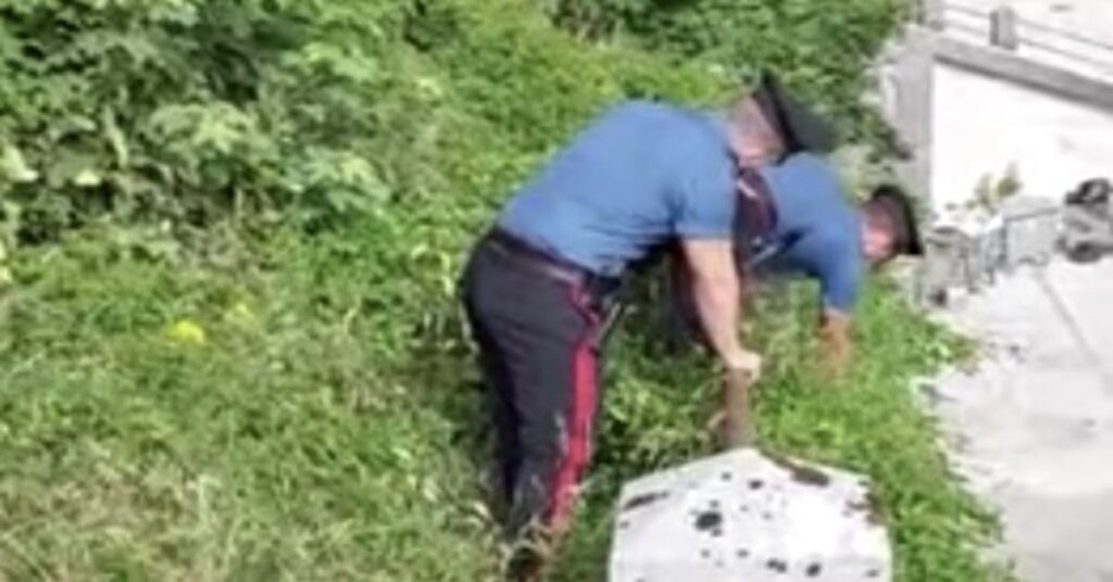 Carabinieri salvano un gatto