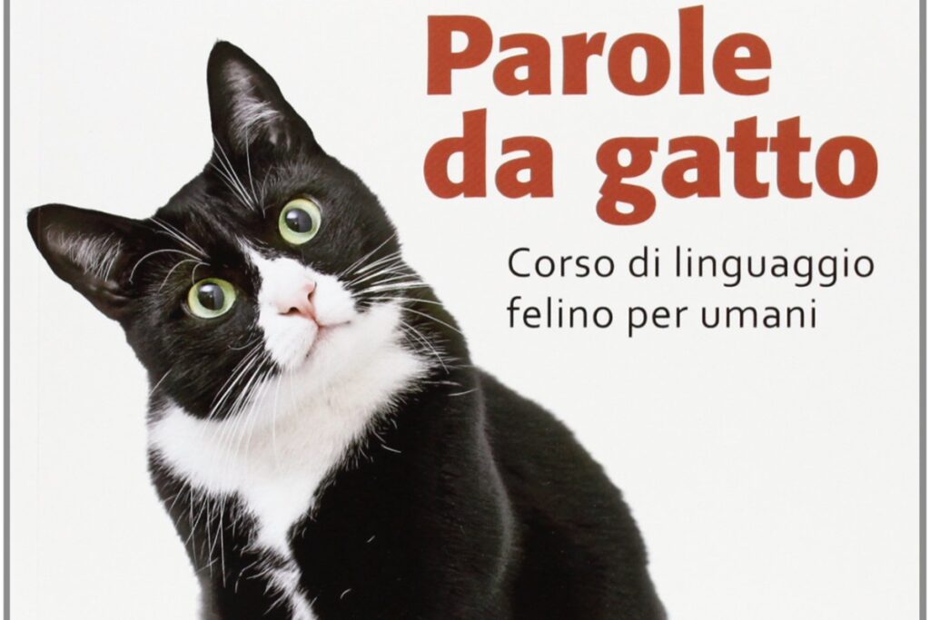 libro su comunicazione del gatto