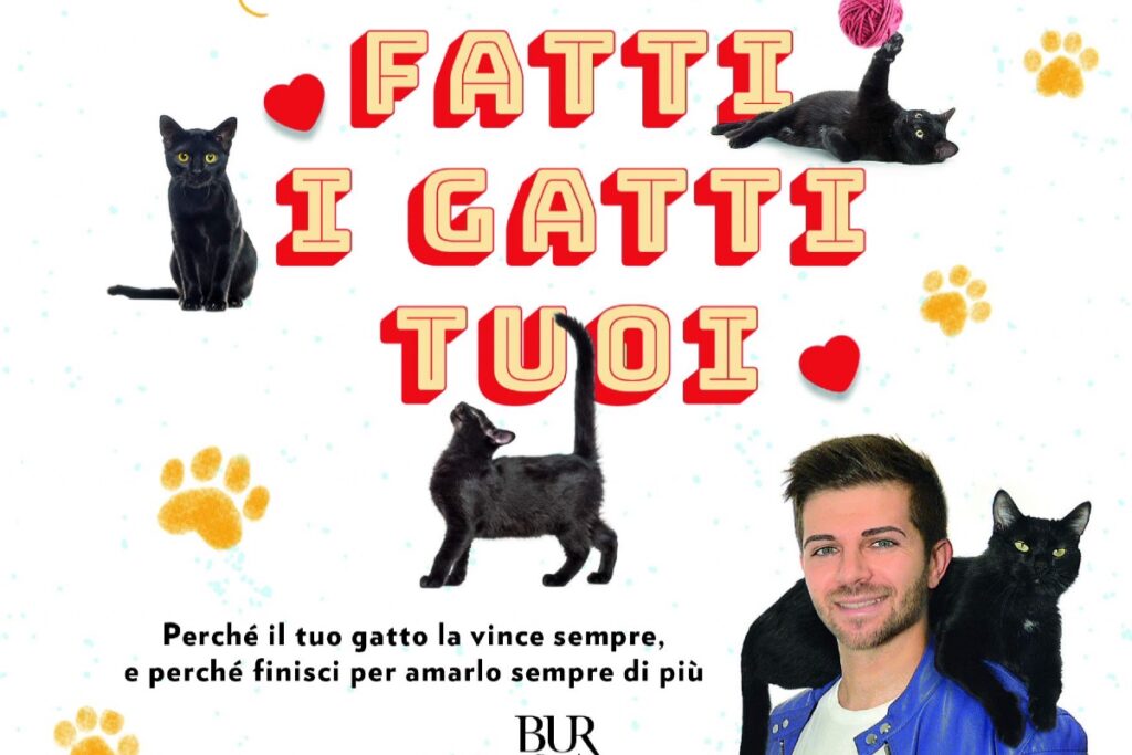 libro ironico su gatti