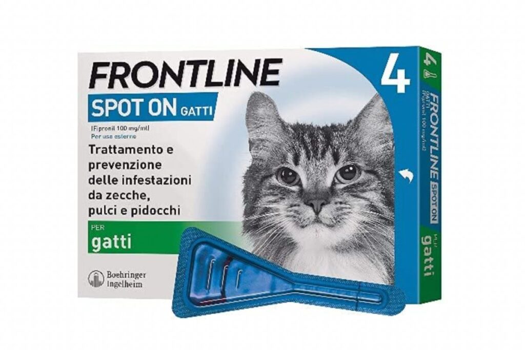 pipette per gatti