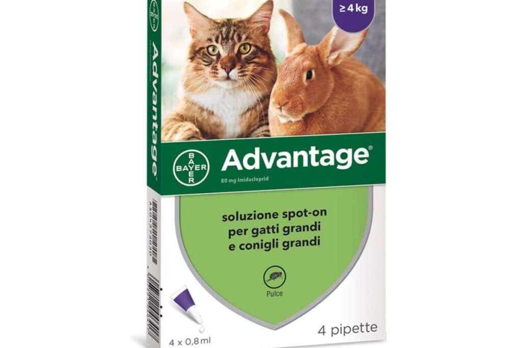 advantage per gatti