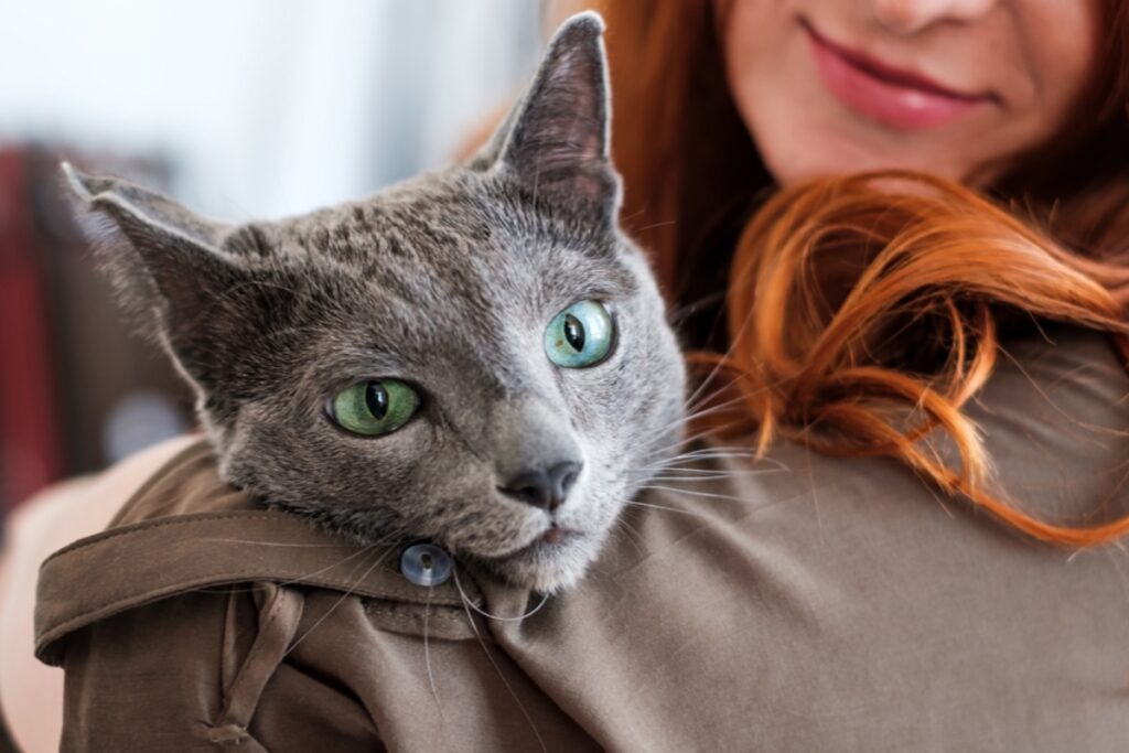 gatto sulla spalla di una ragazza