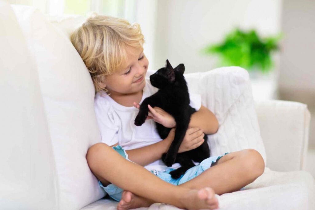 gatto e bambino sul divano