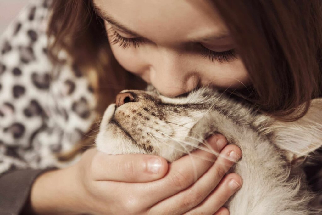 bambina bacia gatto