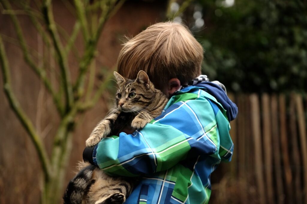 bambino abbraccia gatto