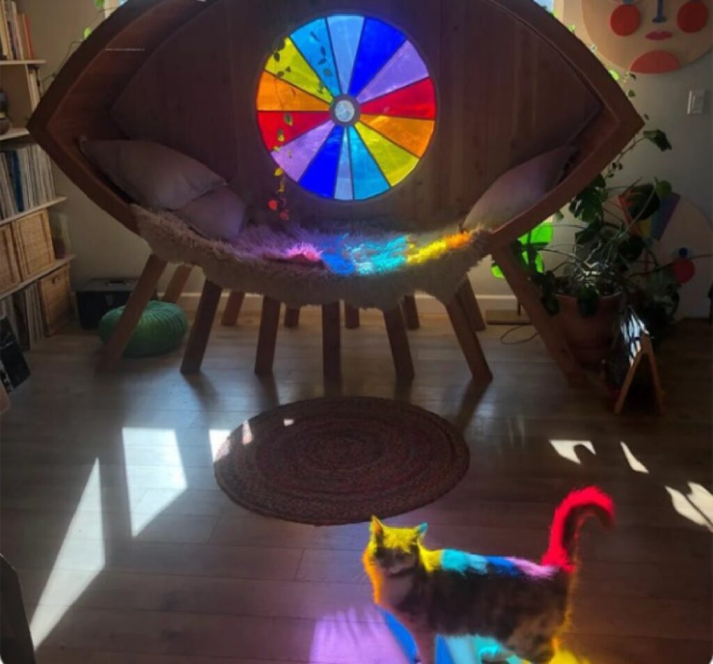 gatto illuminato dall'occhio colorato