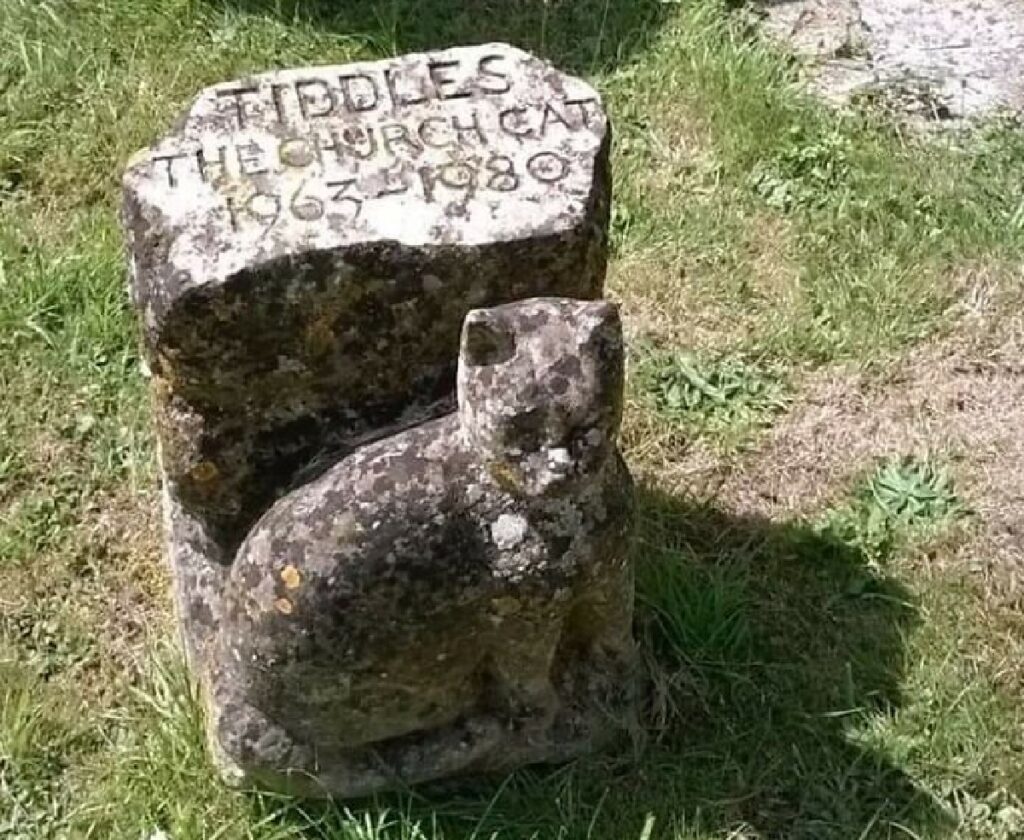 gatto pietra commemorativa