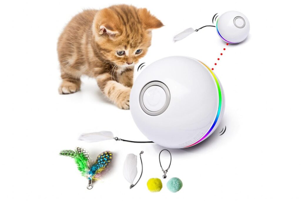 giocattolo interattivo per gatti