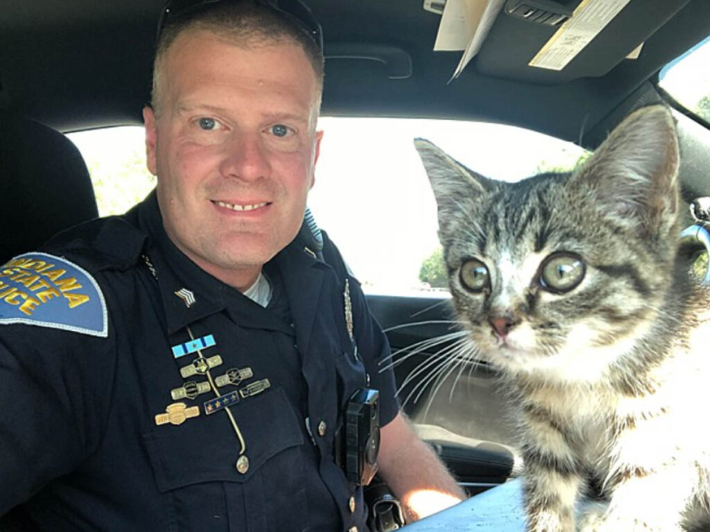 agente di polizia con gatto grigio