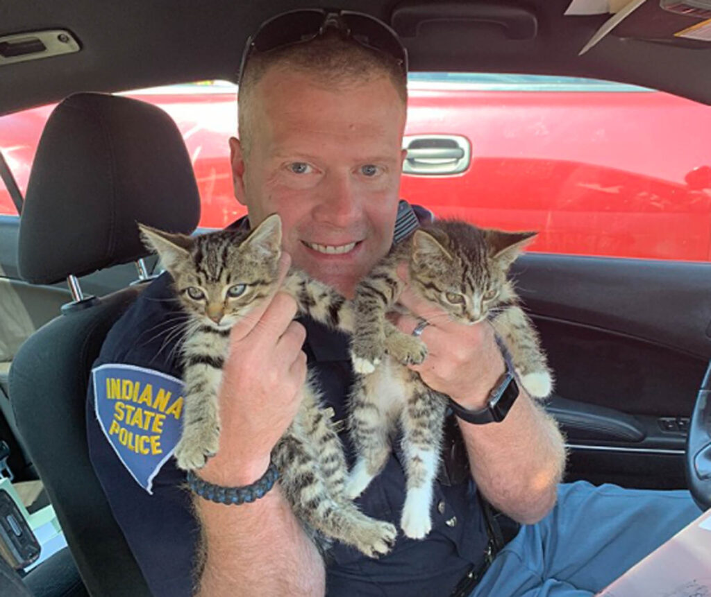 agente di polizia con due gattini