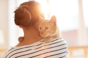 Come sollevare il gatto senza fargli e farci male?