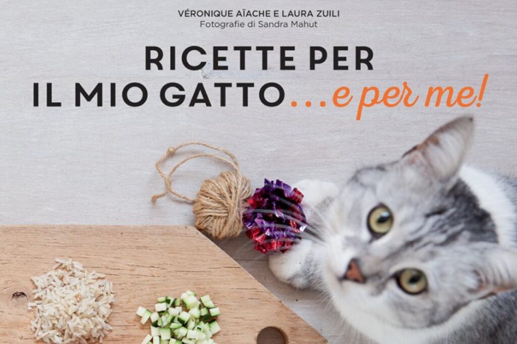 ricette per gatti e umani