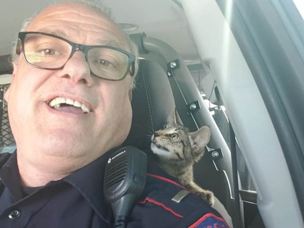 agente di polizia con gattino
