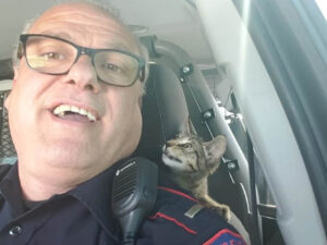 Gattino gettato da un finestrino; la polizia interviene e scatta anche dei divertenti selfie con il micio