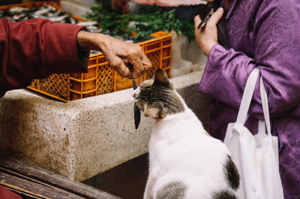 gatto che mangia un pesciolino