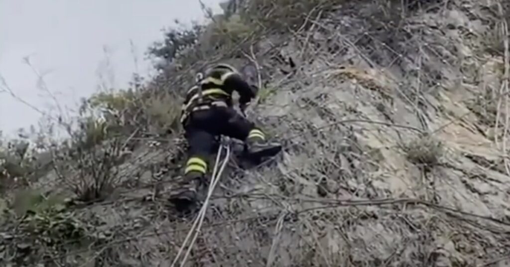 pompiere salva gatto incastrato su costone montagna