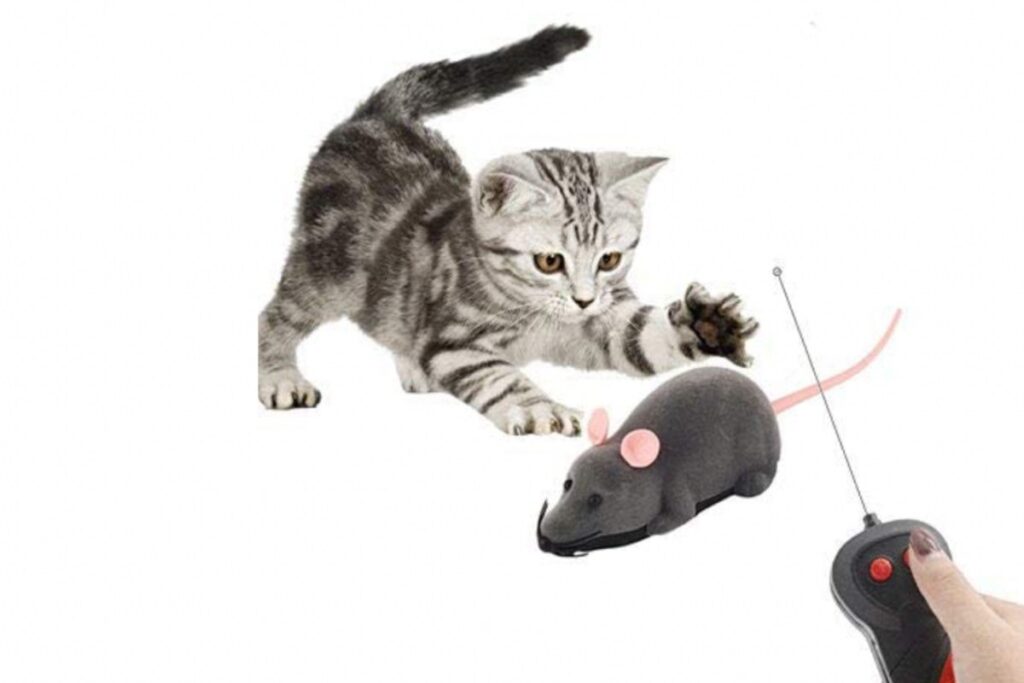 topolino telecomandato per gatti