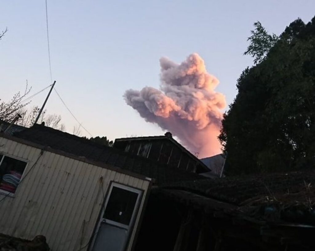 gatto nuvola rosa
