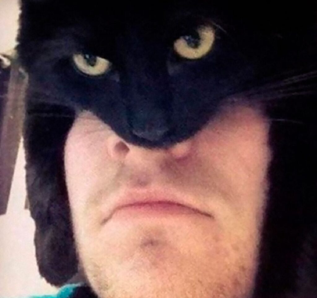 gatto nero batman