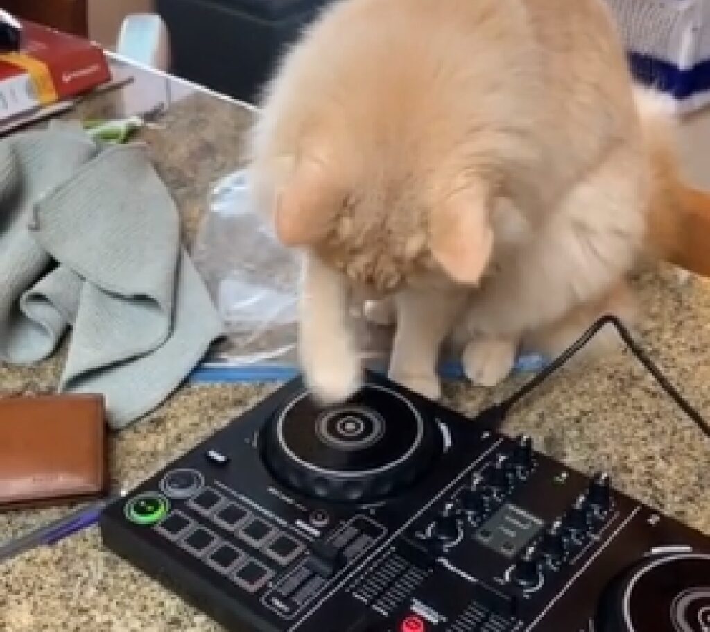 micio dj prova nuova console