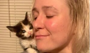 Una gattina ha fatto innamorare la sua volontaria: la storia di Candy Corn