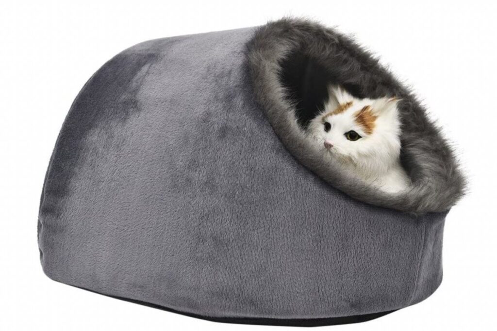 cuccia igloo per gatto