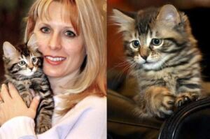 Il gattino Nicky è il primo gattino ad essere clonato per motivi privati e non scientifici