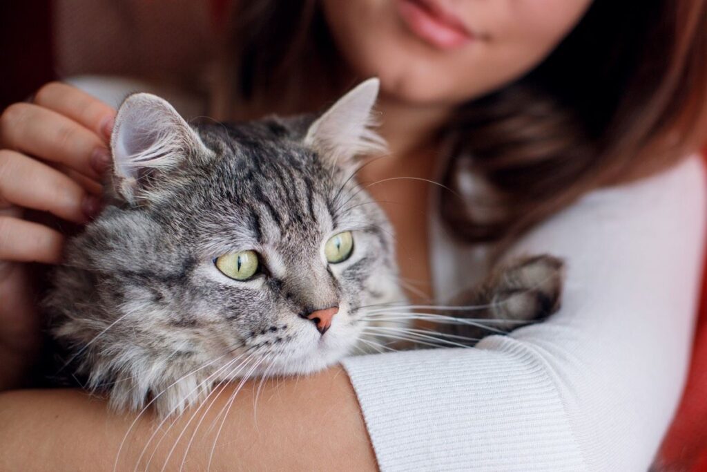 gatto in braccio a una donna