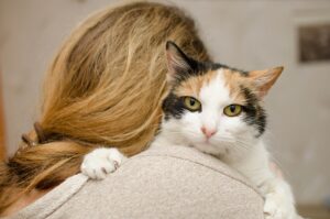 Perché il gatto non vuole essere tenuto in braccio?