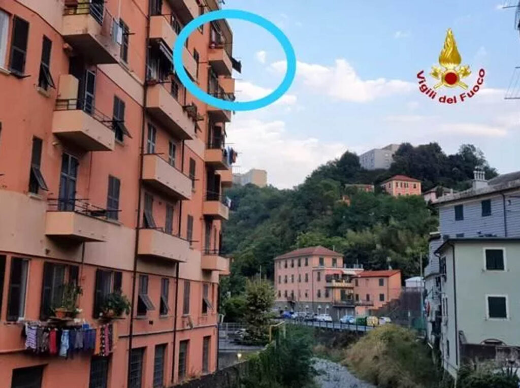 gatto cade dal balcone e atterra su tenda da sole