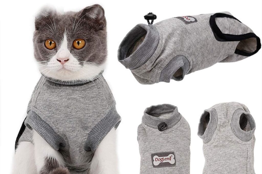maglietta medica per gatto