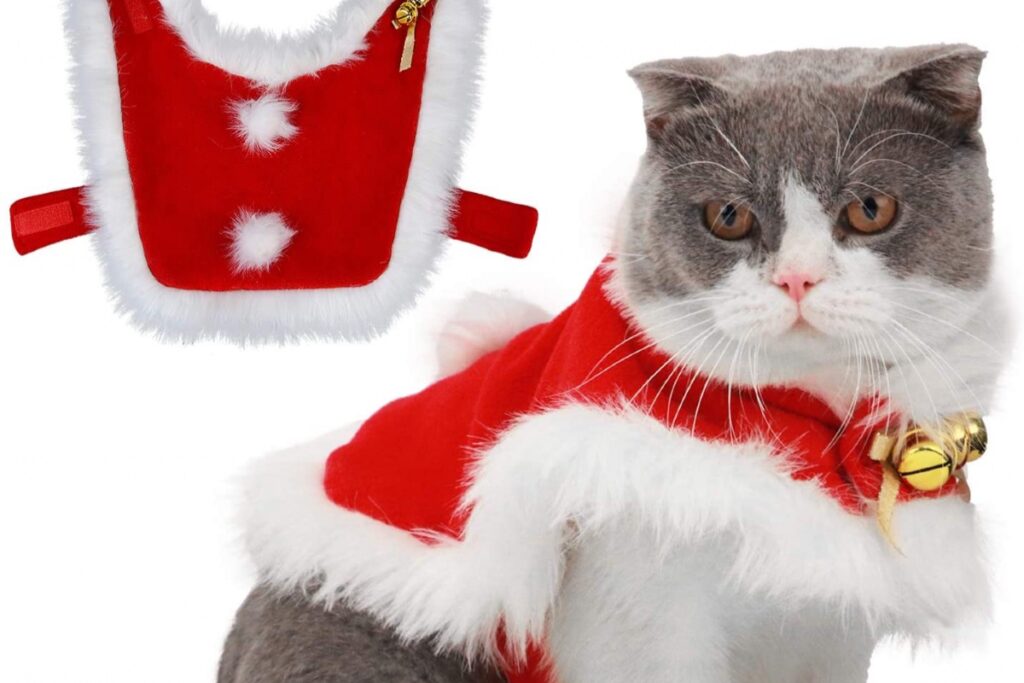 costume natalizio per gatto