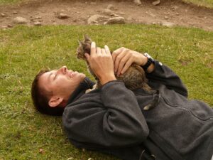 Per quanto tempo devo giocare con il gatto, per farlo felice?