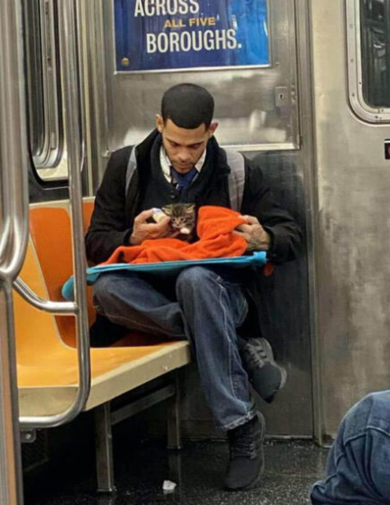 ragazzo con gattino in metropolitana