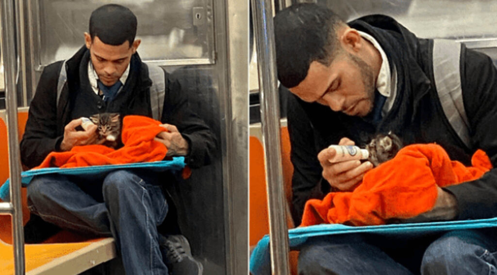 ragazzo con gattino in metropolitana