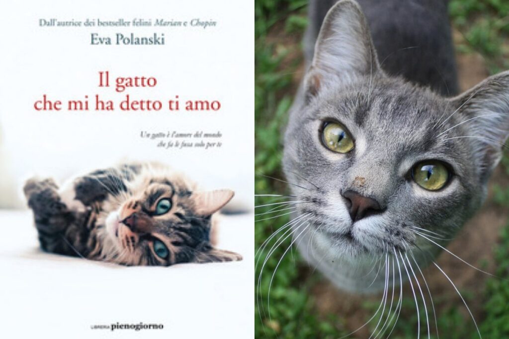 il gatto che mi ha detto ti amo