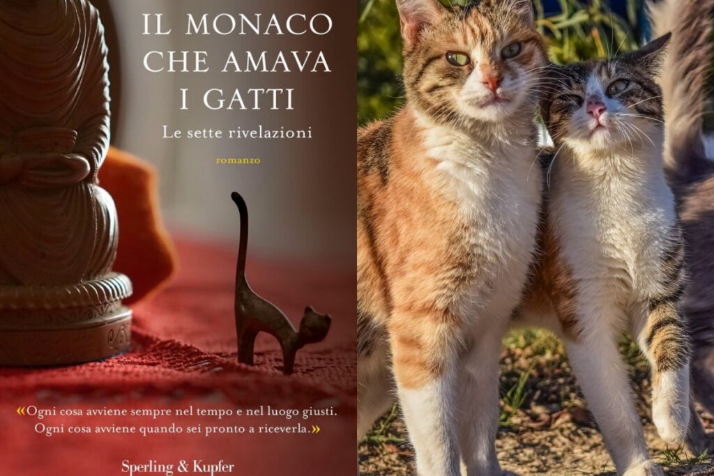 il monaco che amava i gatti