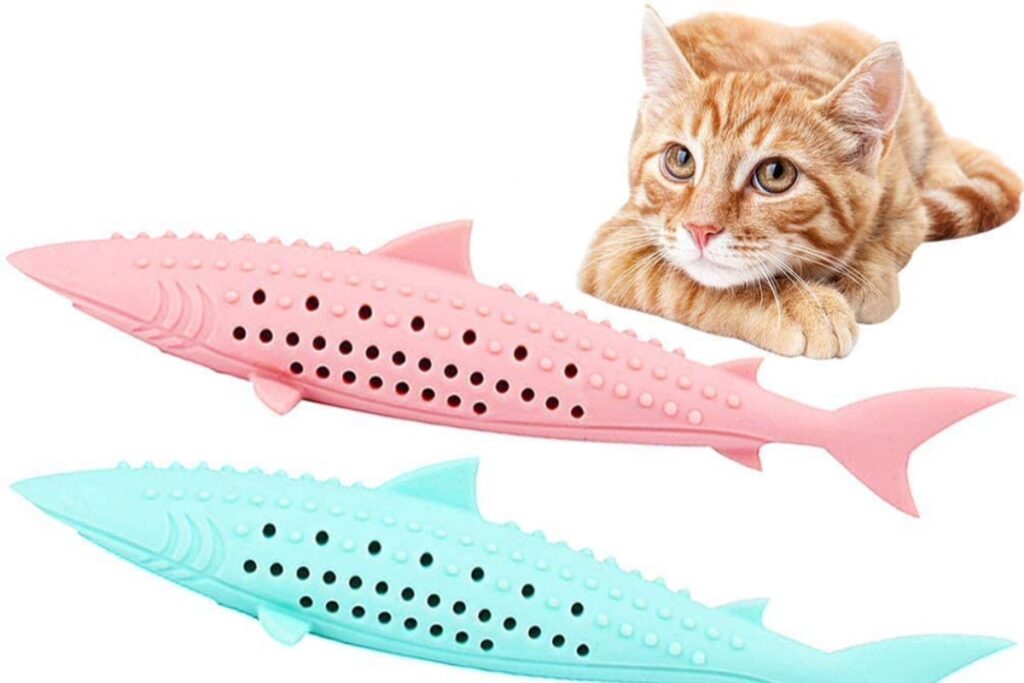 gioco per pulire i denti del gatto