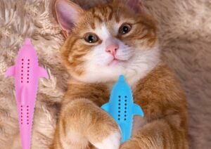 5 spazzolini per gatti, i migliori per Miao
