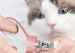 5 tagliaunghie per gatti, facili da utilizzare e sicure