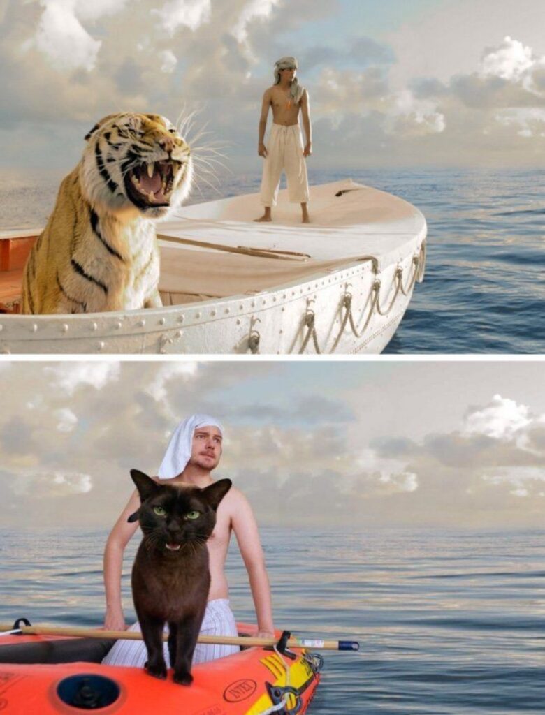 gatto tigre barca