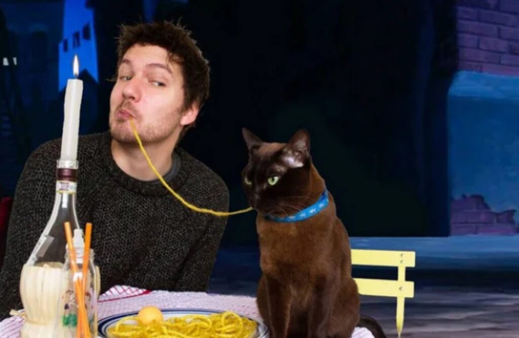 felino spaghetti mangia