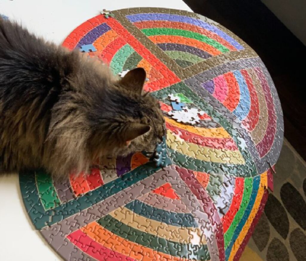 gatto sta per buttare giù puzzle