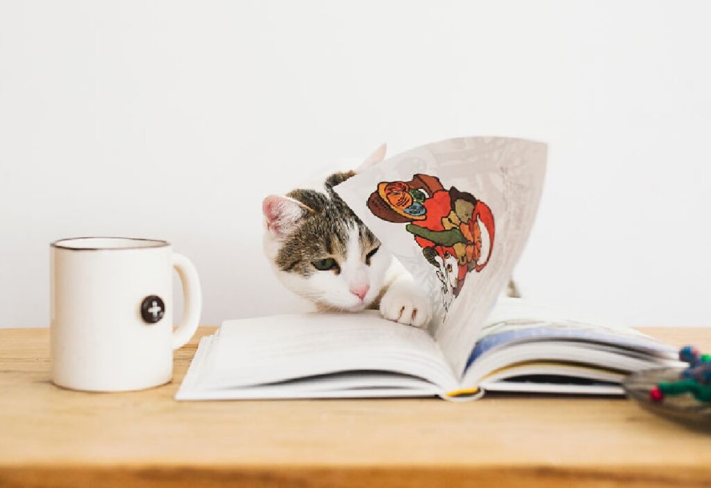 gatto sfoglia un libro