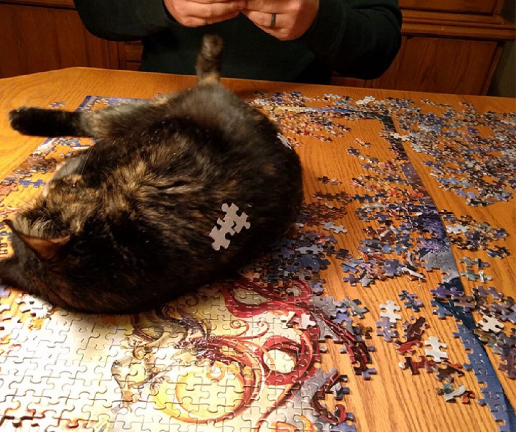 gatto pezzi di puzzle sulla schiena