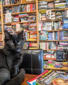 Biblioteca ospita gattini per permettere loro di trovare una famiglia